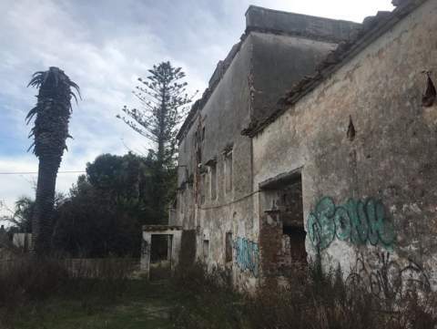 Edificio del Camp&agrave;s