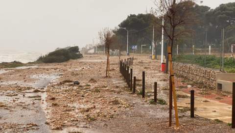 Cargador Beach Walkway