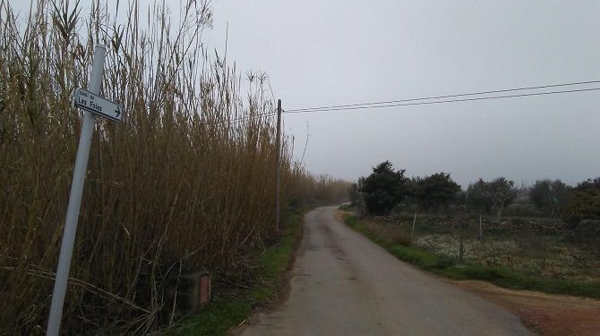 [Img #81405]