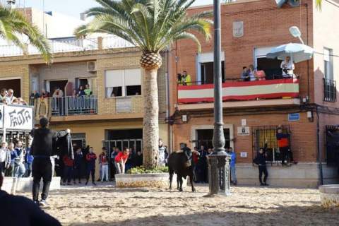 Fiesta de San Vicente 2019