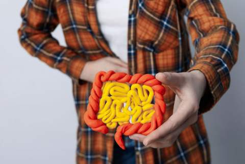 SIBO: síntomas, causas y cómo combatir el exceso de bacterias en el intestino delgado