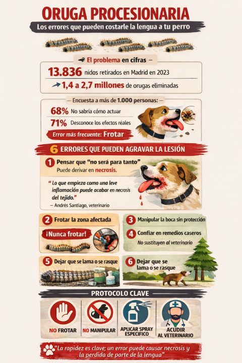 Andrés Santiago advierte de los seis errores que agravan las lesiones por procesionaria en perros