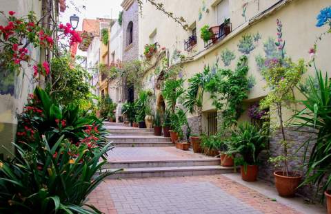 Torreblanca se incorpora a Viles en Flor y refuerza su compromiso con la sostenibilidad y la biodiversidad