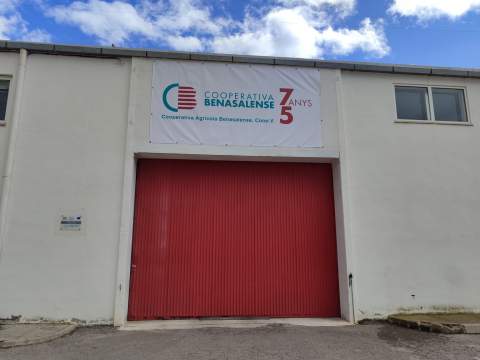 La Cooperativa de Benassal participa en el proyecto europeo AVELLASSAL para revalorizar el cultivo del avellano en el interior