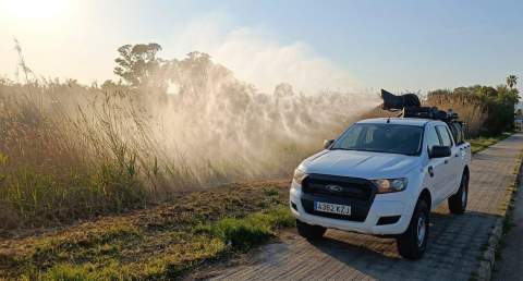Torreblanca inicia tratamientos contra mosquitos al detectar las primeras larvas en zonas inundadas