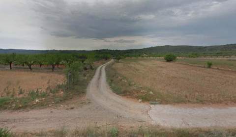 Camí a el Racó de Rata