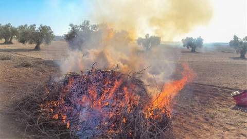 AVA-ASAJA: Prohibición sin matices de quemas agrícolas es 