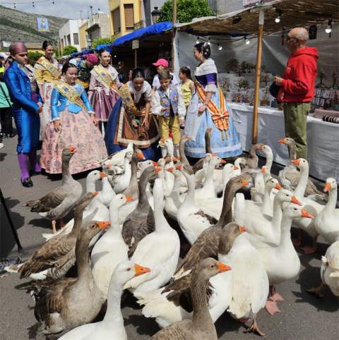 Oropesa del Mar celebra la XXIV edición de la Trobà d’Orpesa con más de 200 casetas y nuevas propuestas culturales