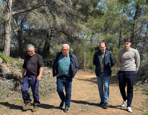 Oropesa del Mar actúa sobre 11 hectáreas para reforzar la prevención de incendios en zonas urbano-forestales