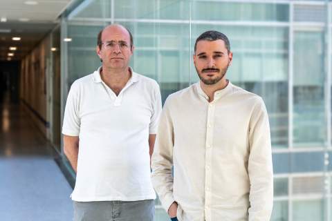 Investigadores de la UPV desarrollan una herramienta más precisa para evaluar el riesgo de los medicamentos al conducir