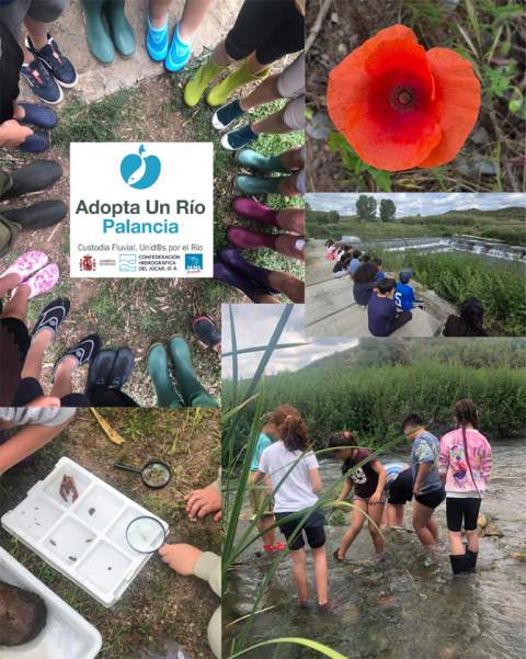 El alumnado del CRA Palancia-Espadán descubre la vida del río en una jornada de educación ambiental en Soneja