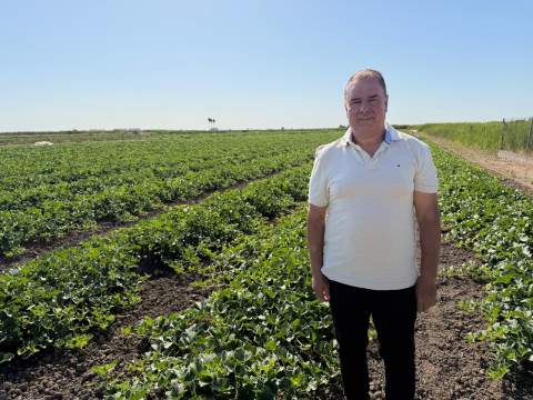 La Llosa refuerza la vigilancia para proteger la campaña del melón