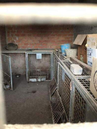 Instalaciones municipales para recogida de animales