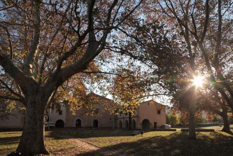 Prat de Sant Pau de Albocàsser