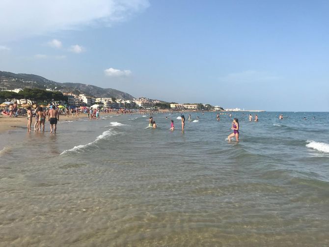 [Img #74239]