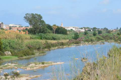 Riu-Millars-al-seu-pas-per-Almassora