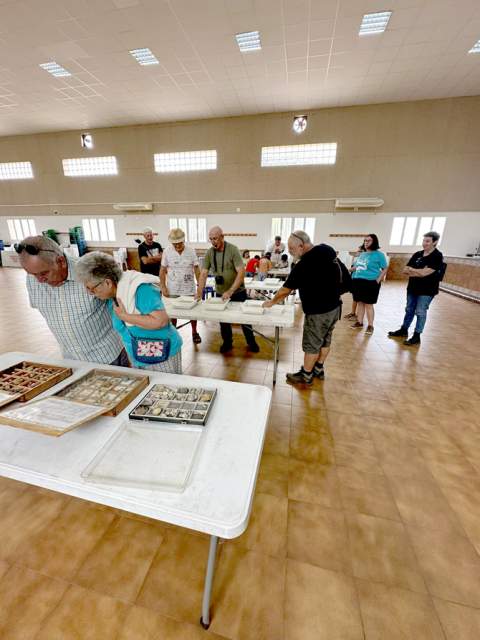 Niños y adultos descubren el patrimonio paleontológico en un taller en Tírig