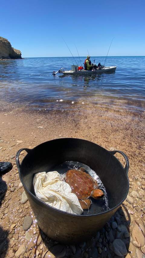 Tortuga enmallada encontrada por un pescador deportivo que avisó al 112