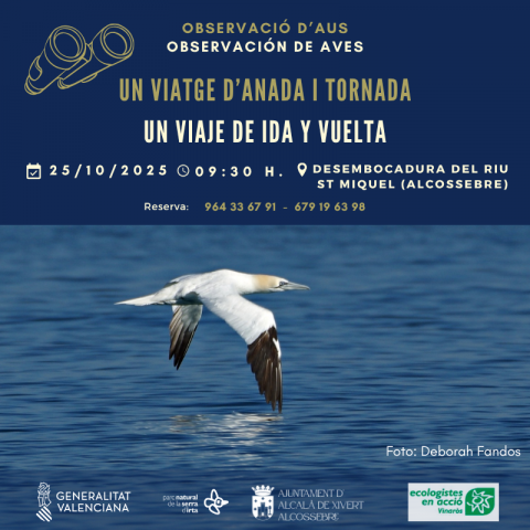 Alcossebre celebra el Día Mundial de las Aves Migratorias con la actividad “Un viaje de ida y vuelta”