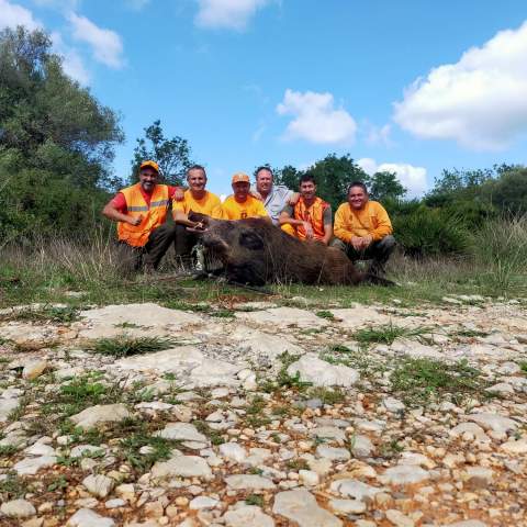 Santa Magdalena recibe una subvención de 9.600 euros para el control de la sobreabundancia de jabalíes