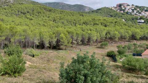 Alcalà-Alcossebre refuerza la prevención de incendios forestales con actuaciones en más de cinco hectáreas
