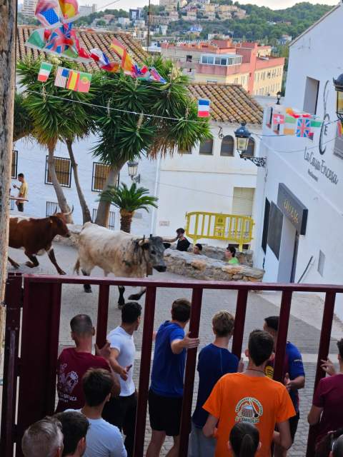 Oropesa del Mar inaugura los festejos taurinos de las Fiestas Patronales con una jornada repleta de tradición, cultura y deporte