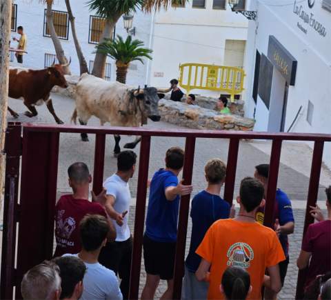Oropesa del Mar inaugura los festejos taurinos de las Fiestas Patronales con una jornada repleta de tradición, cultura y deporte