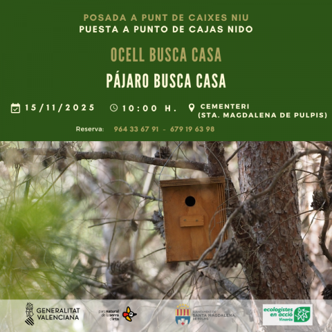 El Parque Natural de la Serra d’Irta organiza la actividad “Pájaro busca casa” para descubrir quién habita las cajas nido del bosque de Polpís