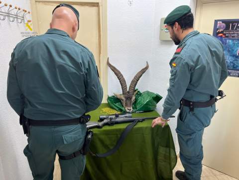 La Guardia Civil investiga a dos personas por un presunto delito contra la flora y fauna en Culla